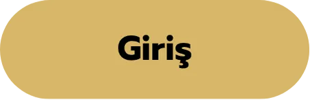 Giriş